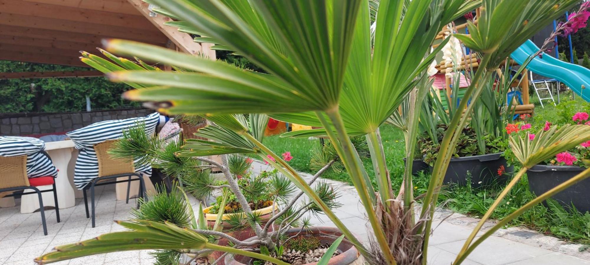 Pokoje Goscinne Jutrzenka Swarzewo Exteriér fotografie