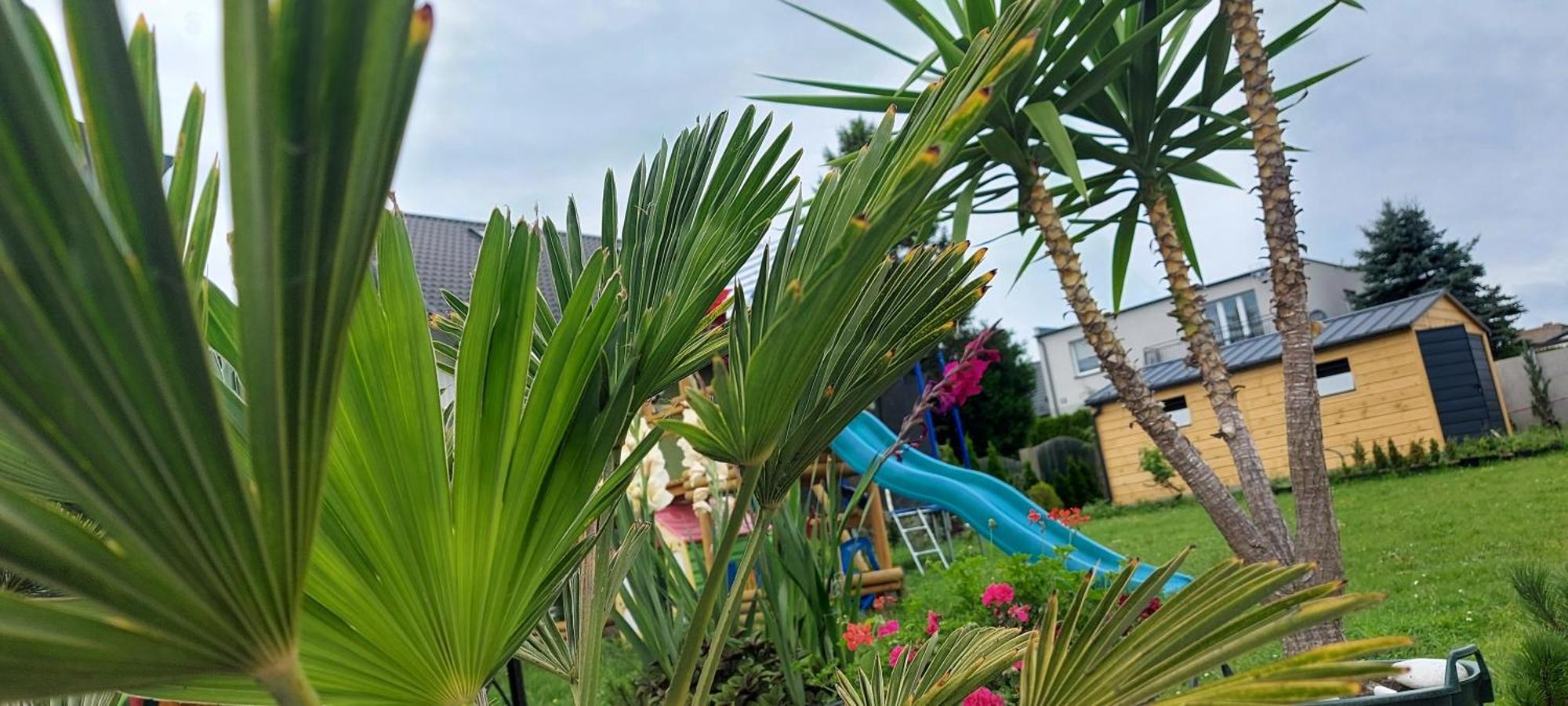 Pokoje Goscinne Jutrzenka Swarzewo Exteriér fotografie